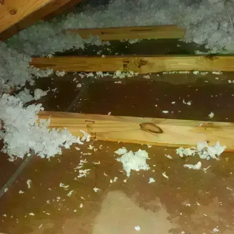 Attic Water Damage in Racine County, WI