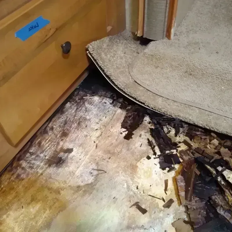 Best Wood Floor Water Damage Service in Racine County, WI